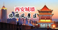 女生鸡巴网站免费看中国陕西-西安城墙旅游风景区