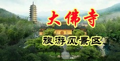 wwwsaose中国浙江-新昌大佛寺旅游风景区